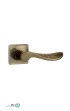 11000-(2).jpg-thumbnail