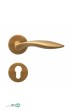 9080.-2.jpg-thumbnail