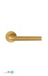 abish-(2).jpg-thumbnail