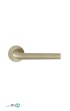 abish-(3).jpg-thumbnail