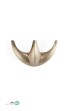 melloni-hook-2001--silve.jpg-thumbnail
